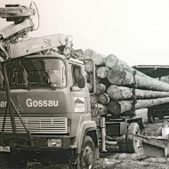 Altes Foto eines Rundholztransport-Lastwagens