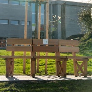 Cornelian cherry benches at the Hofegg site