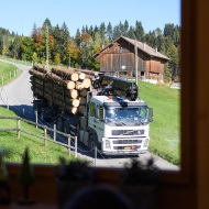 Aufnahme des Rundholz-Lastwagens aus einem Fenster