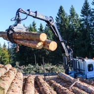 Loading logs onto a truck