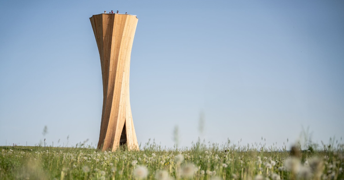 Timber construction | Curved cross-laminated timber viewing