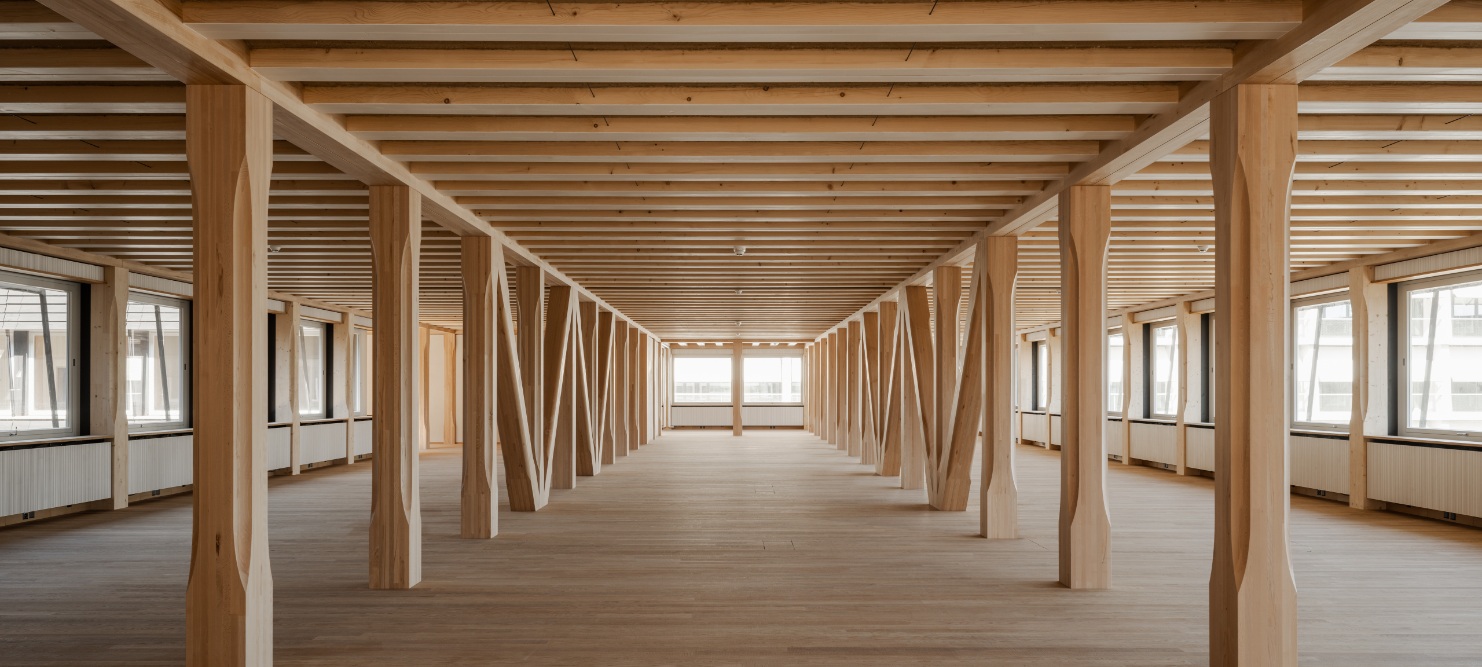 Open floor with timber framework in the HORTUS office building in Basel.