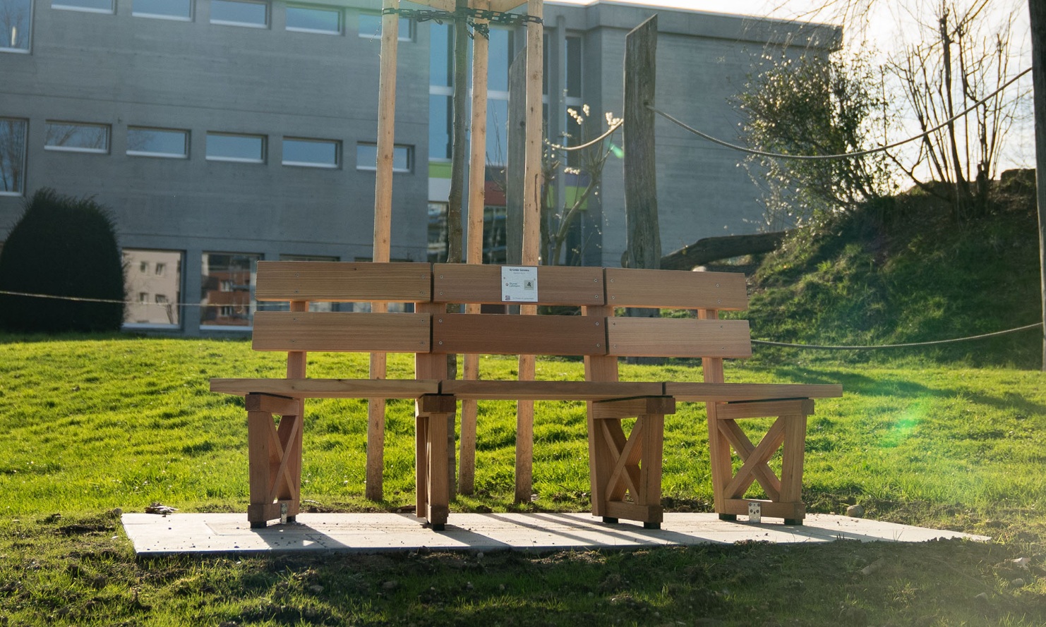 Cornelian cherry benches at the Hofegg site