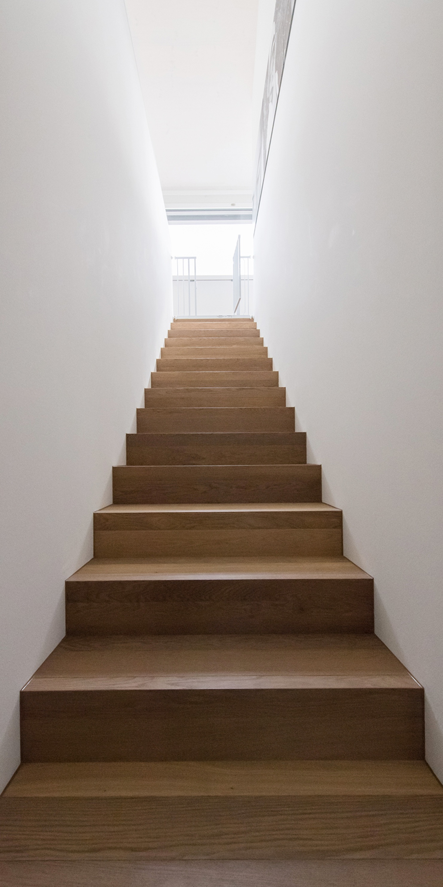 La prise de vue montre un grand escalier à l’intérieur d’une maison individuelle avec vue sur le lac