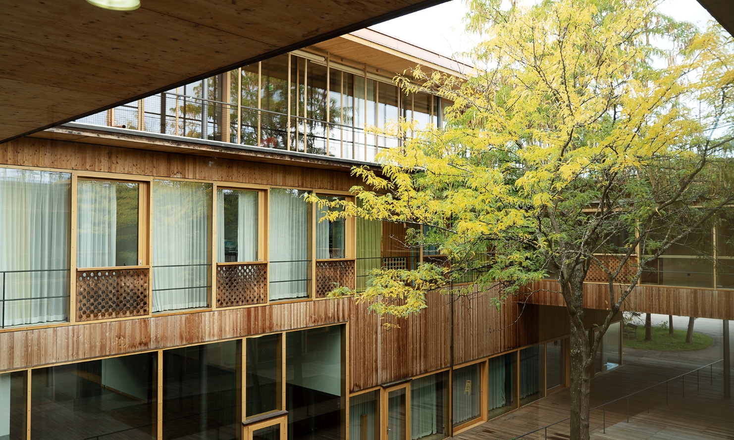 Vue de la cour intérieure avec l’extension ainsi qu’un arbre