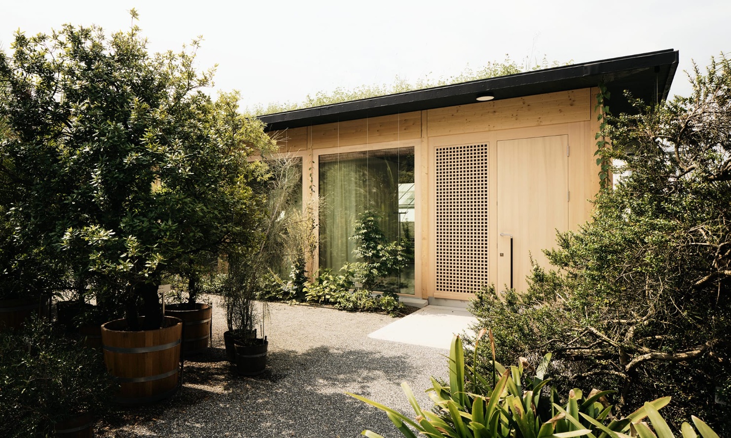 Daytime photo of the new lecture room in timber construction with green bushes on both sides, located in the botanical garden in St. Gallen