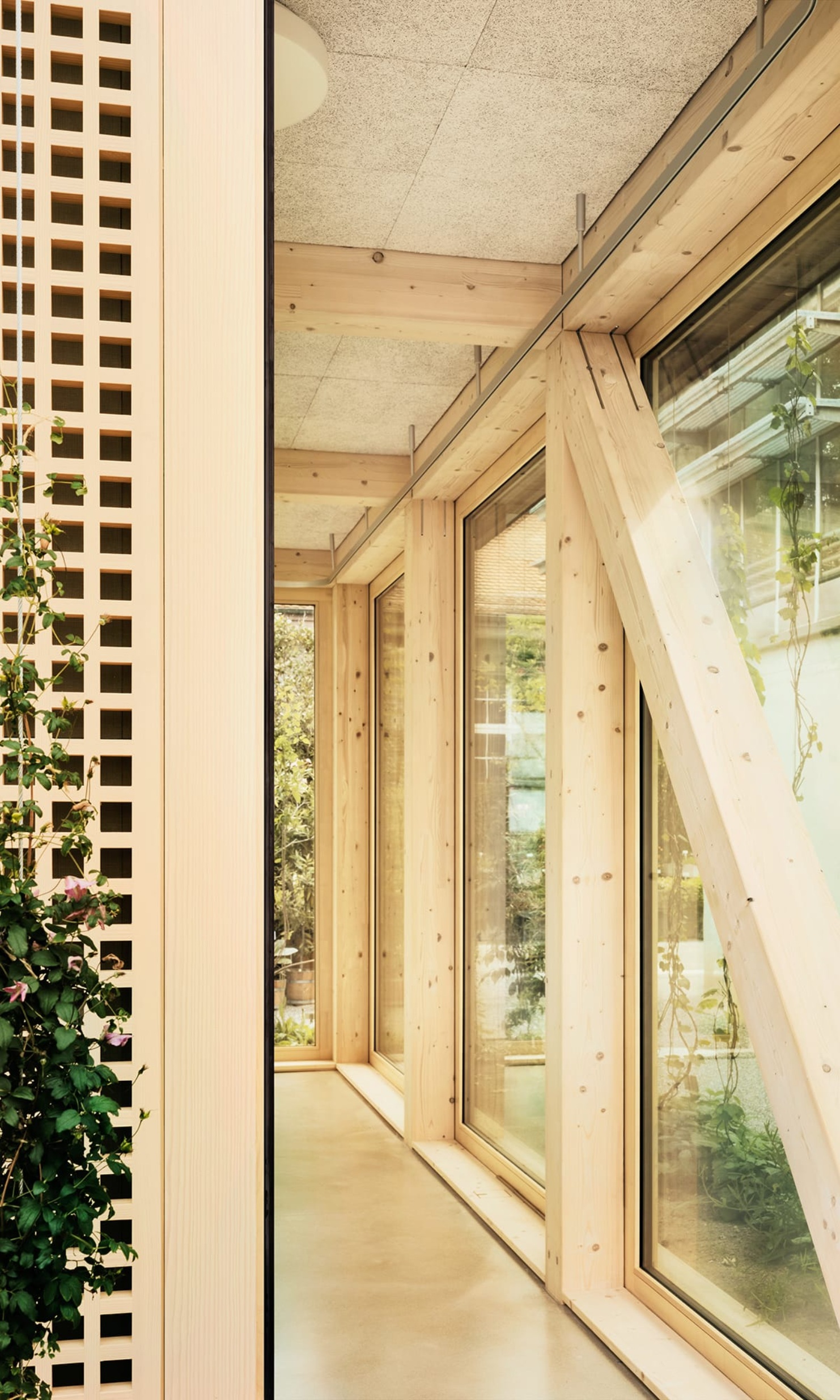 Intérieur de la salle de conférence nouvellement construite dans le jardin botanique de Saint-Gall: murs vitrés avec cadres en bois