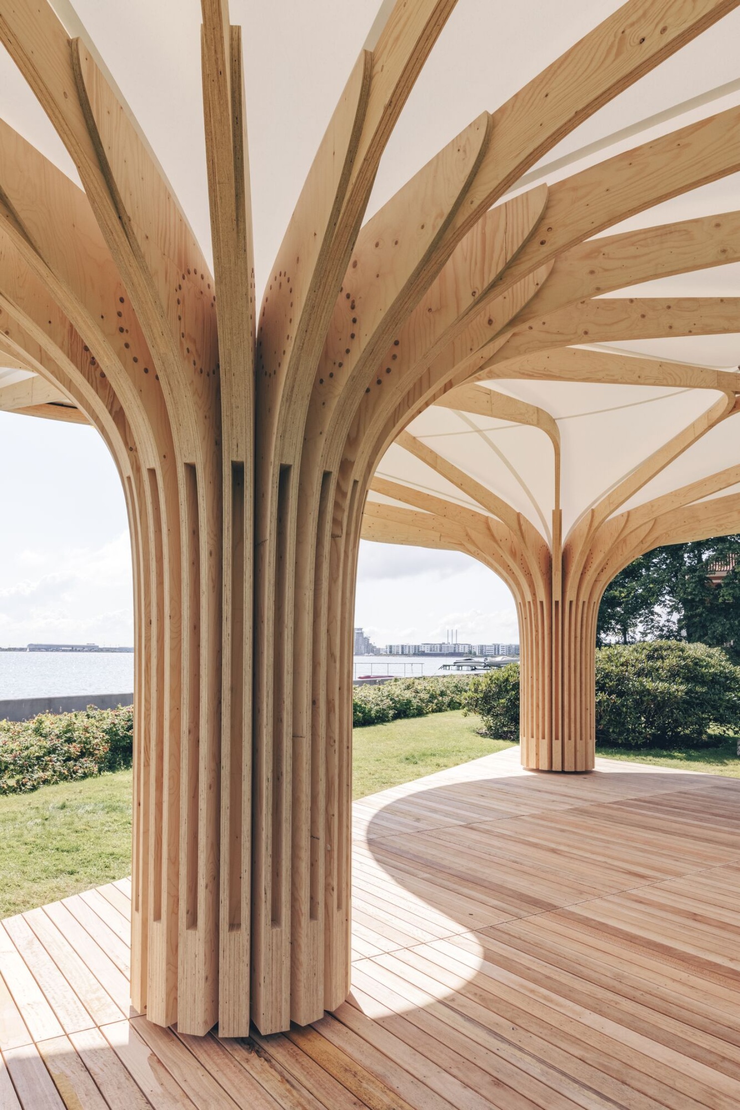 Vue détaillée de la structure porteuse en lattes de bois 