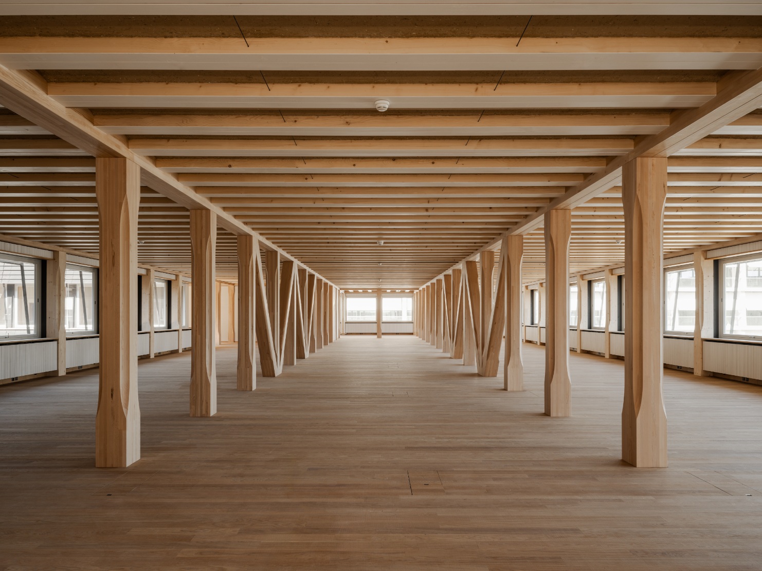 Plateau ouvert avec structure en bois dans l’immeuble de bureaux HORTUS à Bâle.