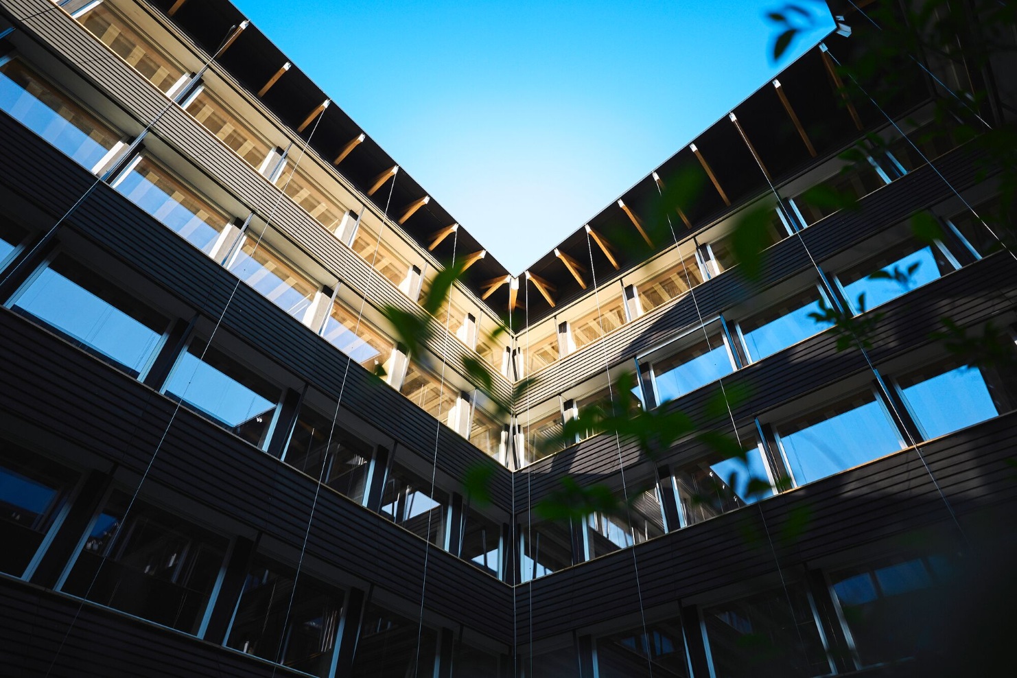 Blick von unten auf die Fassade des Hortus-Innenhofs mit offenem Himmel und moderner Holzarchitektur