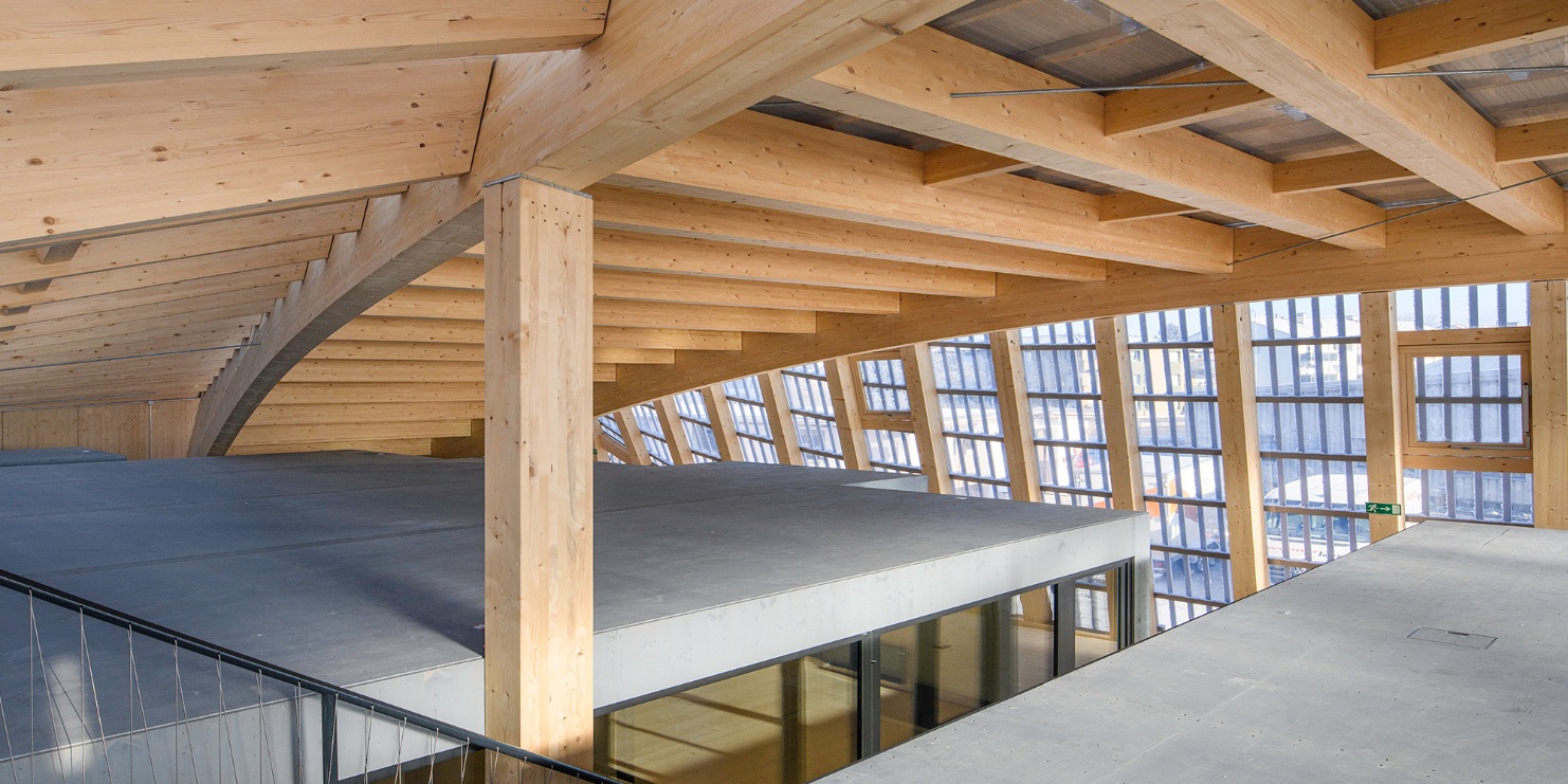 Vue des surfaces de toit des modules, qui sont placées dans une structure d’enveloppe froide en bois.