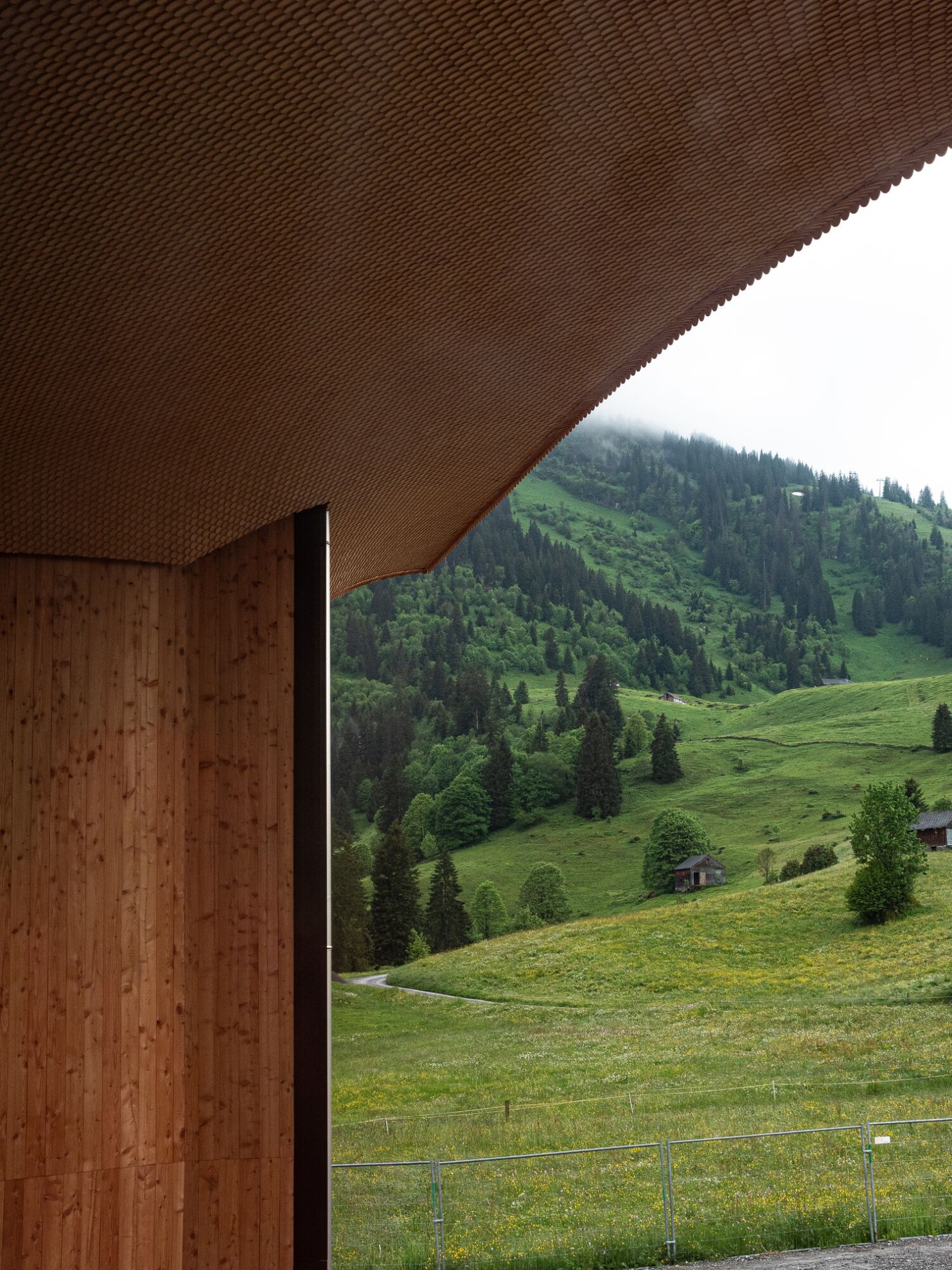 Blick aus dem Klanghaus Toggenburg auf eine gruene Berglandschaft, mit geschwungener Holzdecke und Wand aus Massivholz.