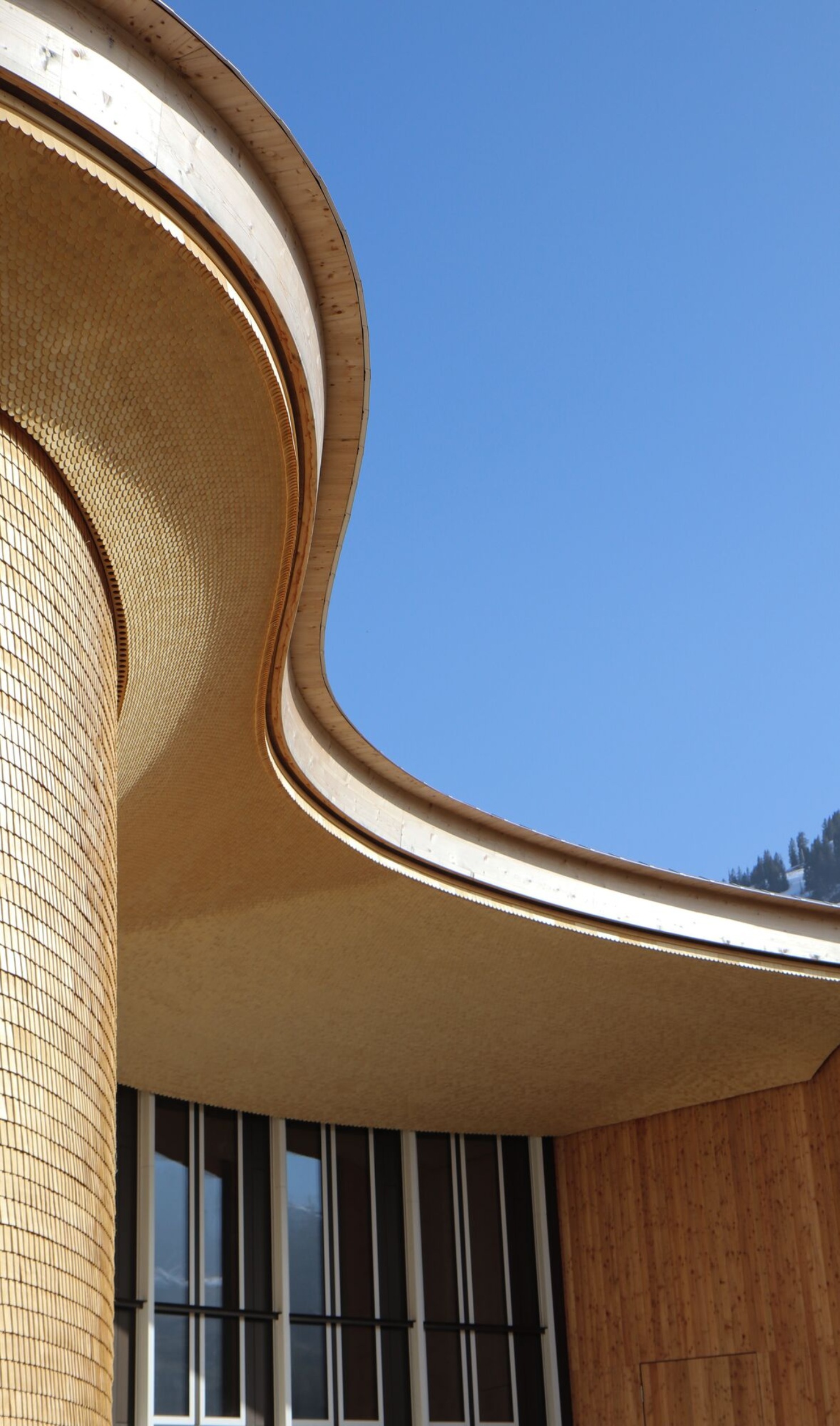 Detailaufnahme der geschwungenen Dachform und Holzfassade des Klanghauses Toggenburg vor blauem Himmel.