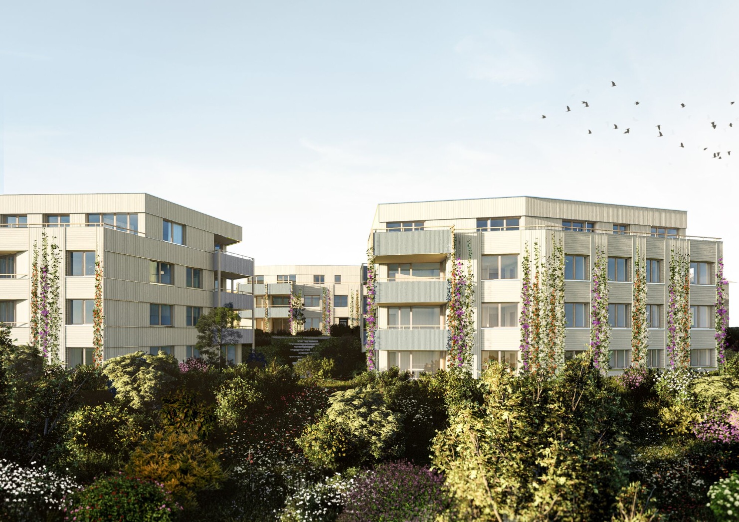 Visualisierung der drei Wohngebäude der Klimasiedlung Augarten