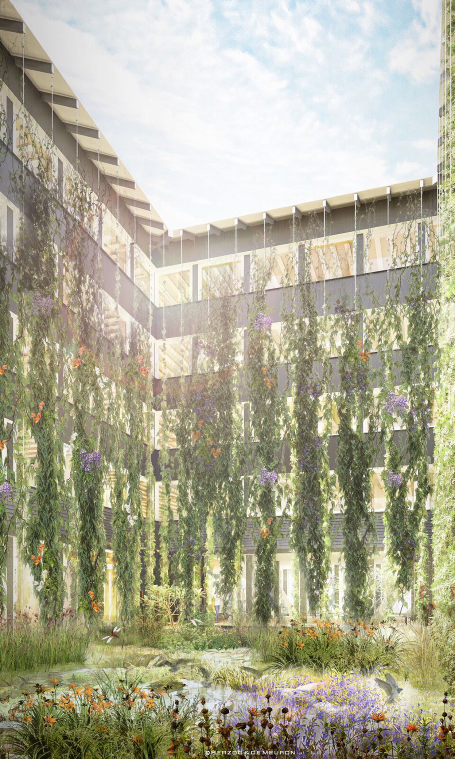 Cour intérieure plantée de l'immeuble de bureaux Hortus en bois