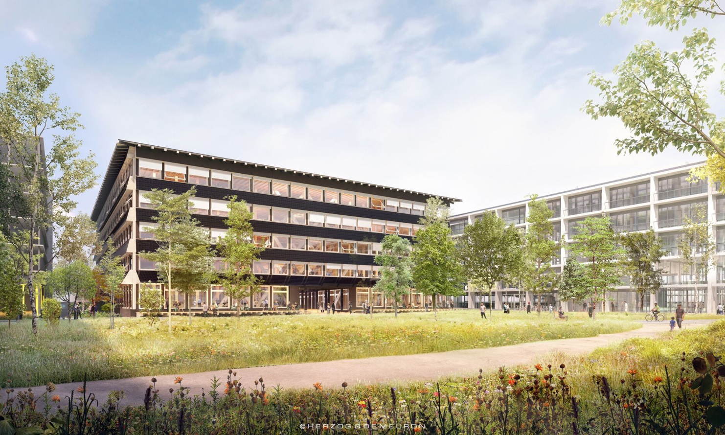 Immeuble de bureaux Hortus en bois avec environnement végétal 