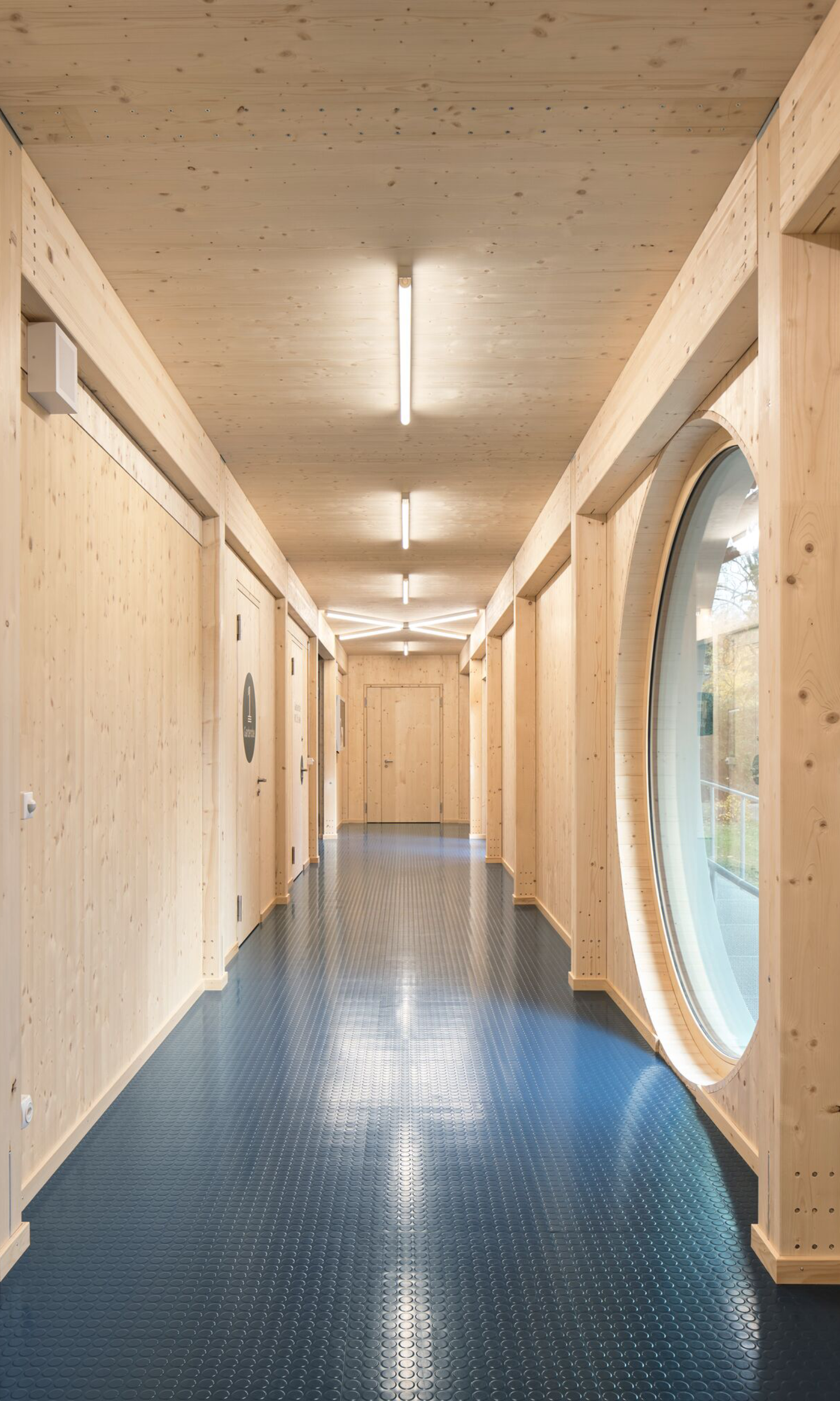 Hallway with wooden walls and ceiling in the sports hall.