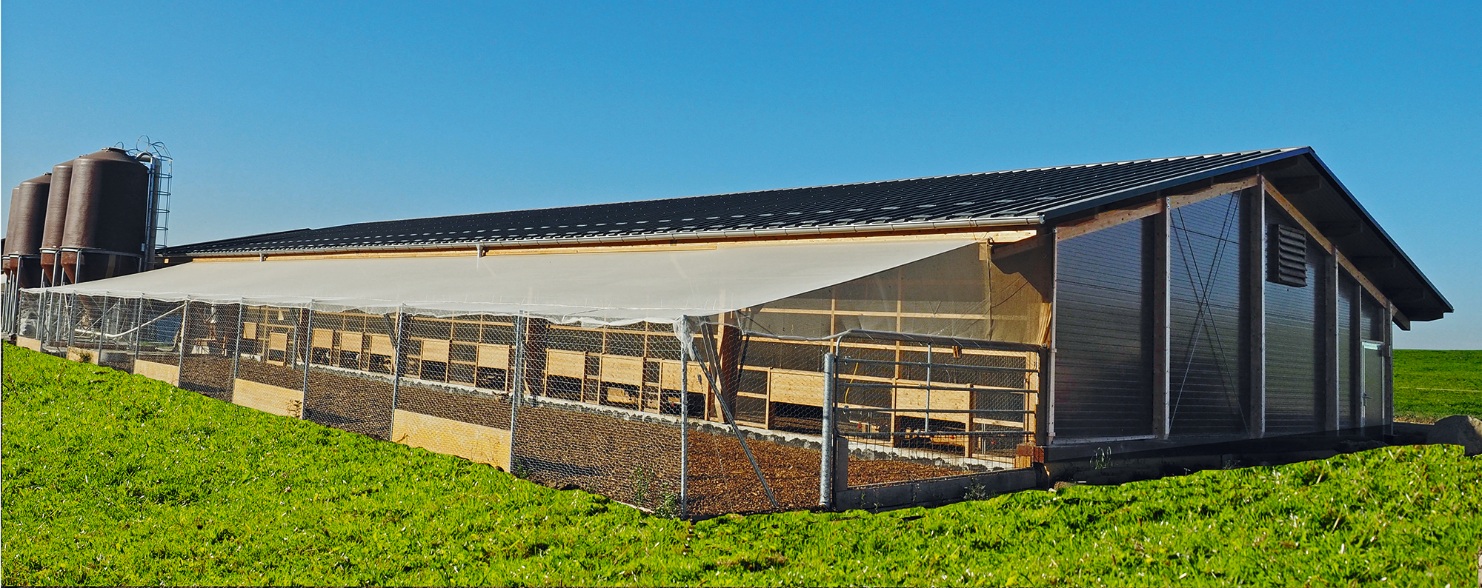 Legehennenstall mit Freiluftgehege steht auf grüner Wiese. 