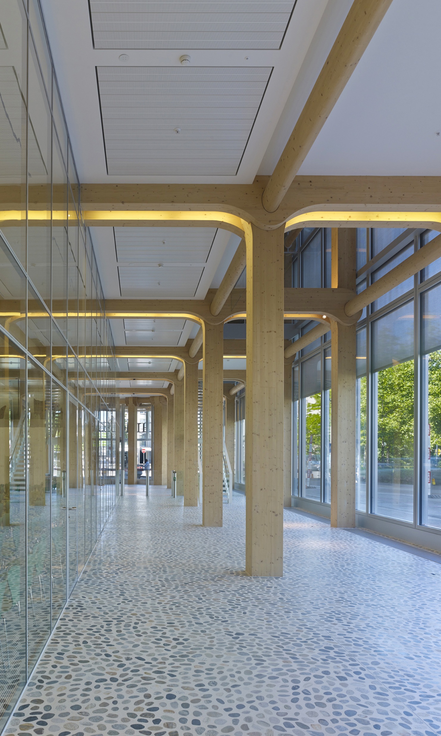 Structure porteuse en bois du bâtiment Tamedia éclairée