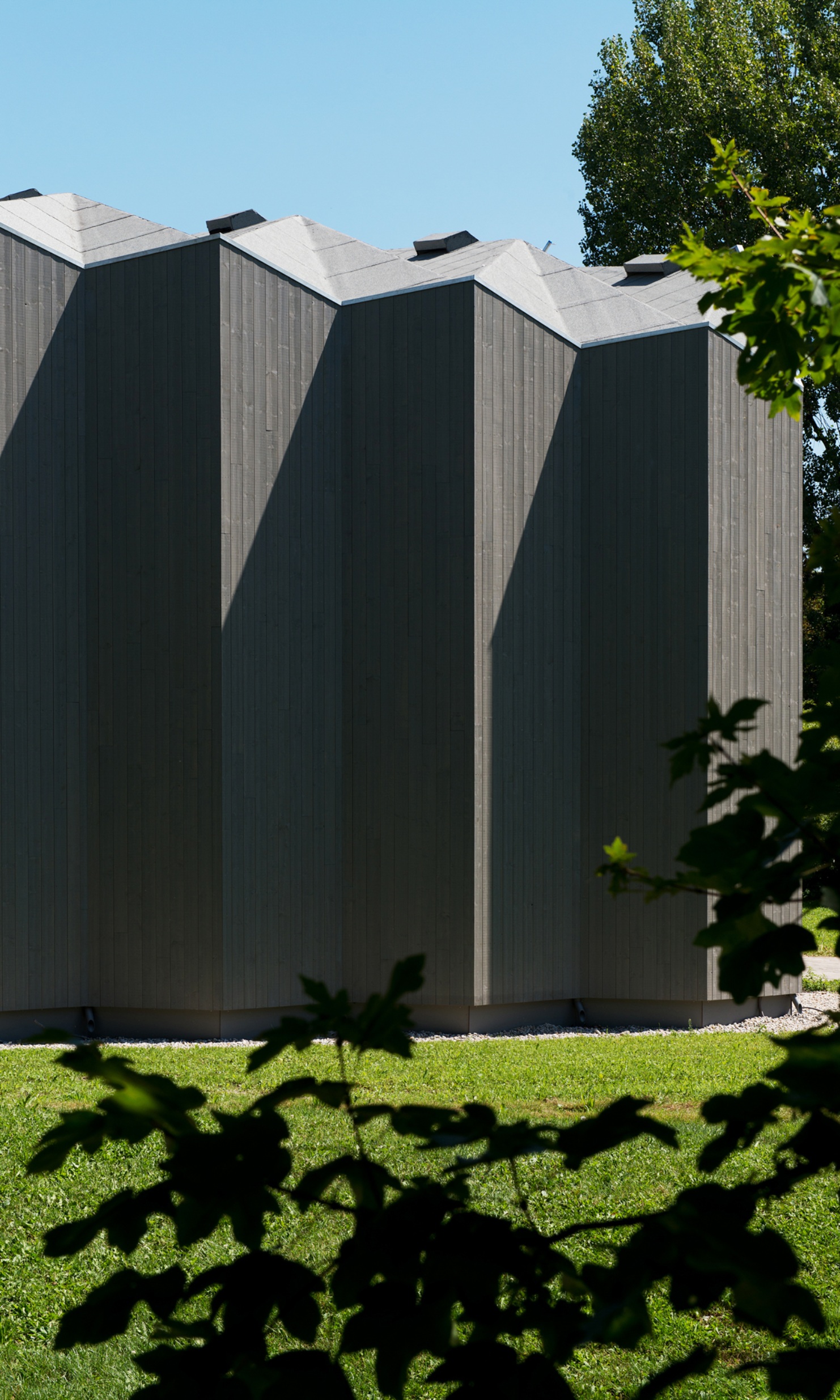 The photograph shows the grey wooden facade somewhat hidden behind green leaves