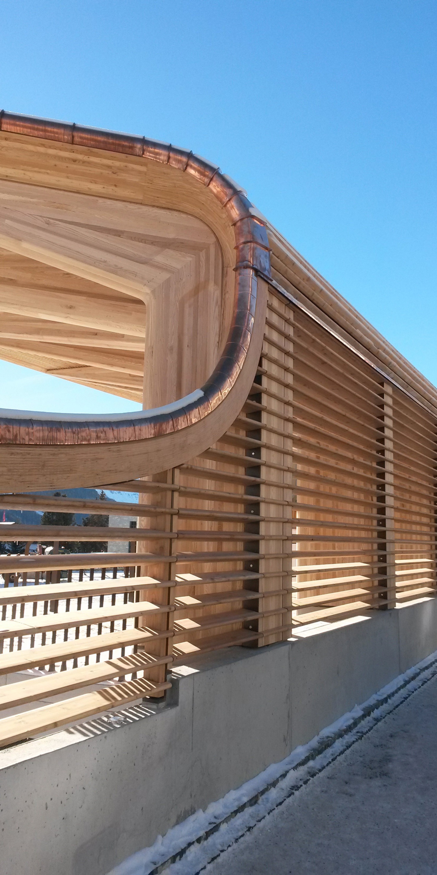 Free-form timber construction with a blue sky in the background