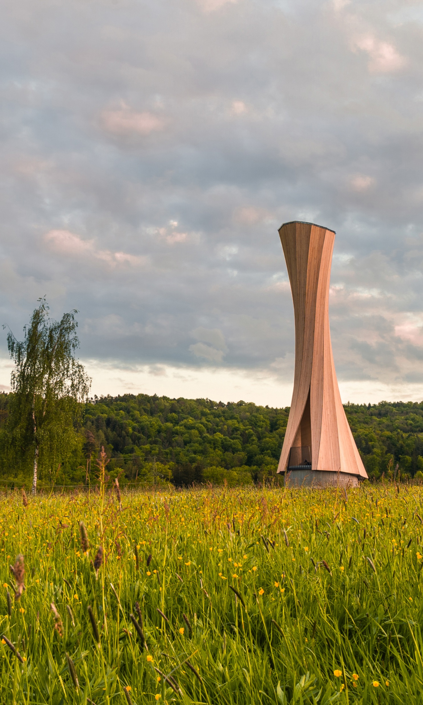 The photograph shows the entire Urbach Tower amid a flower meadow in the evening sun