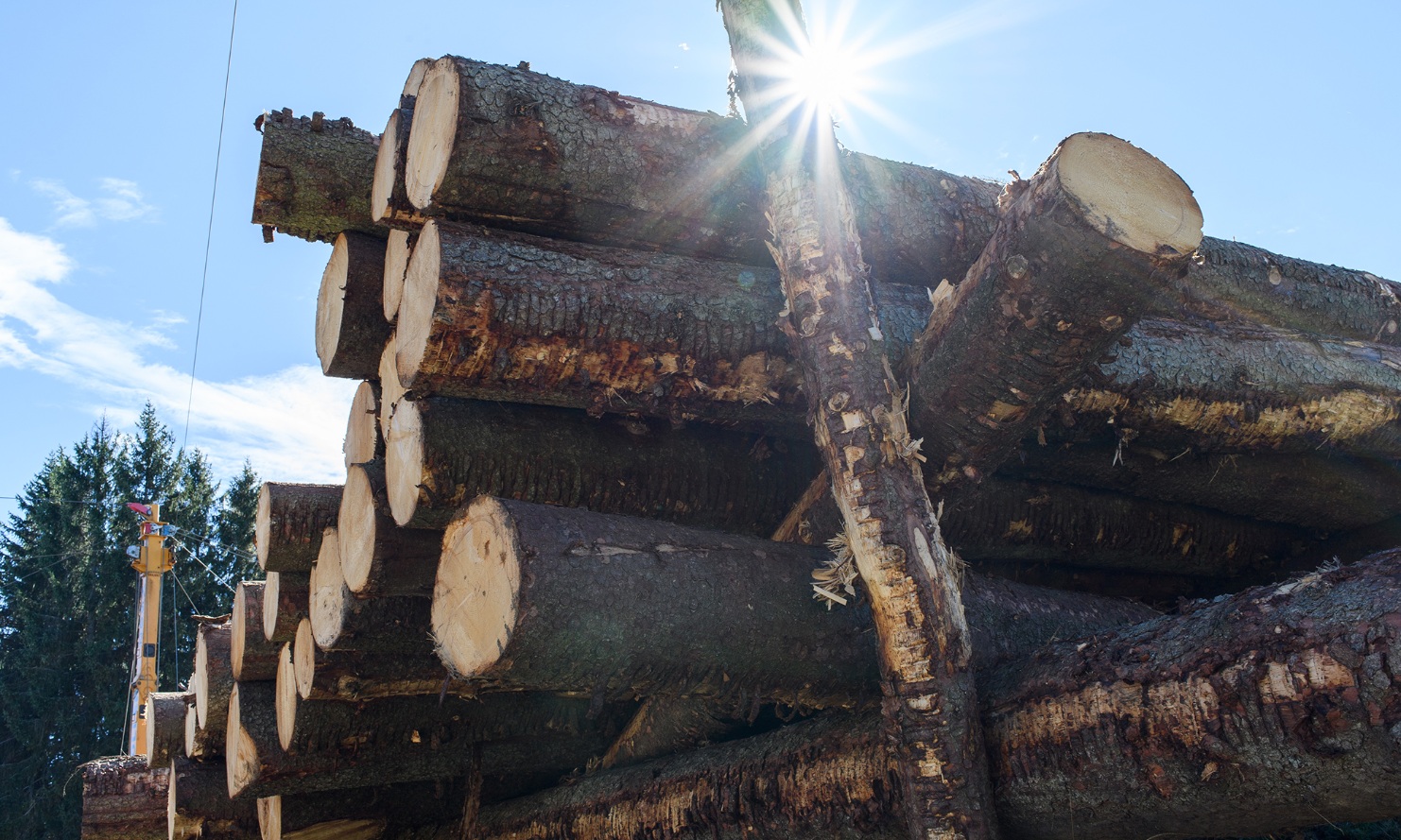 Sun shining through stacked logs, with a winch in the background