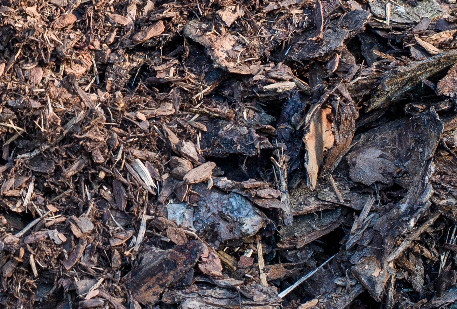 Rinde und Rindenmulch | Restholzprodukte