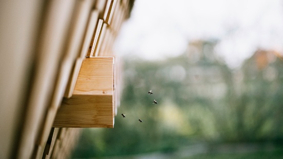 Die Holzfassade und Bienen-Eingänge des Bienenhauses im Detail