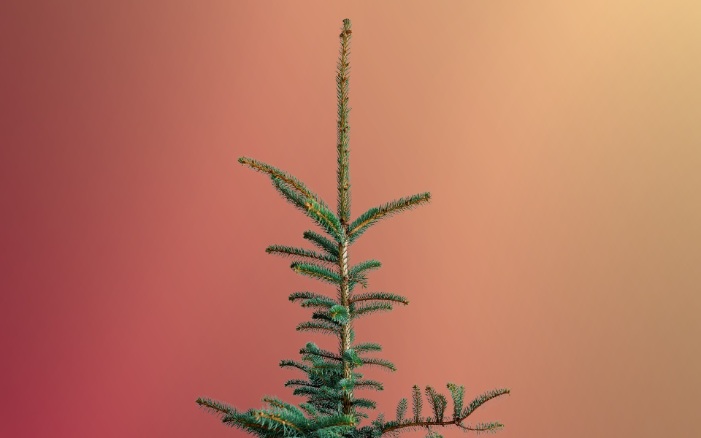 Weihnachtssujet der Lehmann Gruppe mit einem Tannenbaum und einem farbigen Hintergrund