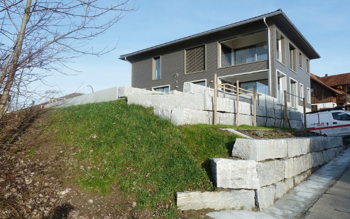 Gesamtansicht des Mehrgenerationenhauses, mit Nachbarhäusern im Hintergrund