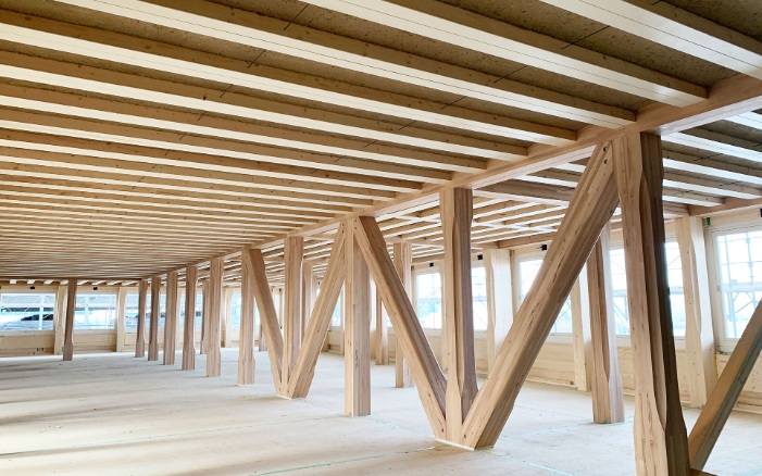 Lehmholzdecke und Holzkonstruktion Hortus