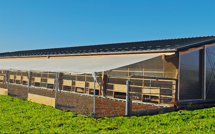 Legehennenstall mit Freiluftgehege steht auf grüner Wiese. 