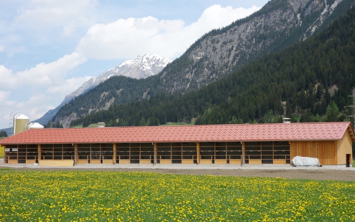 Umgeben von hohen Bergen liegt die Masthalle auf 1200 Meter über Meer.