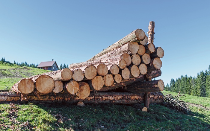 Stacked logs