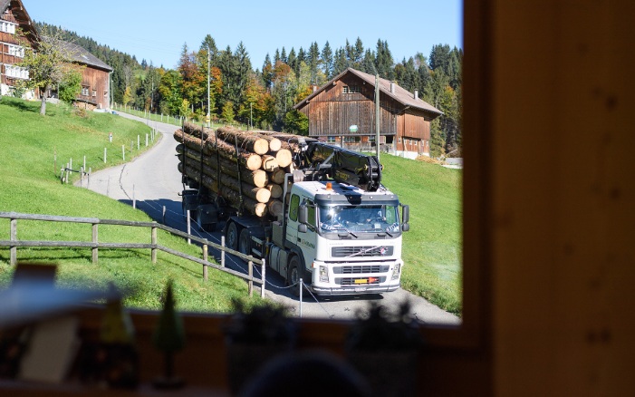 Aufnahme des Rundholz-Lastwagens aus einem Fenster
