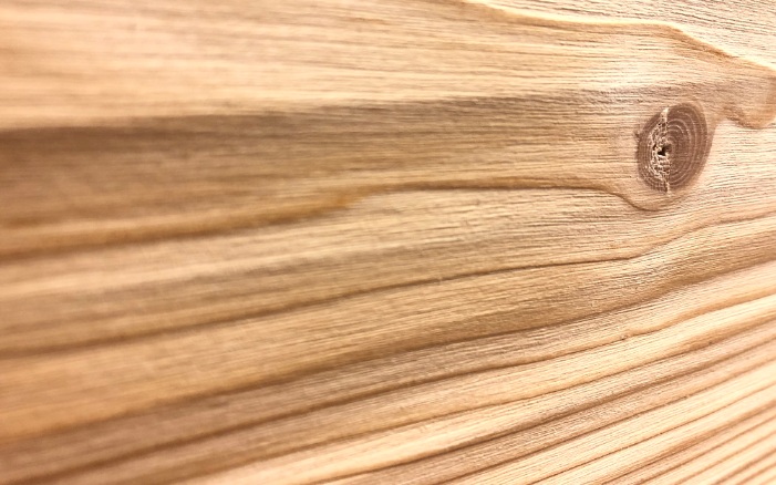 Close-up of brushed wood, with rings clearly showing