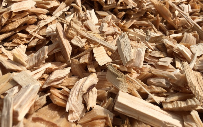 Close-up of wood chips