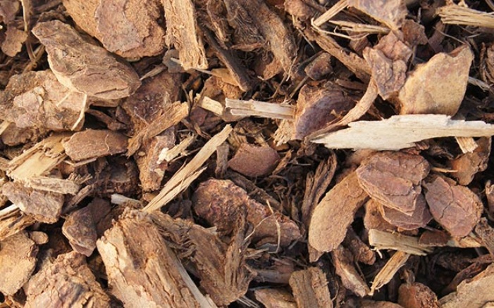 Close-up of litter for small animals