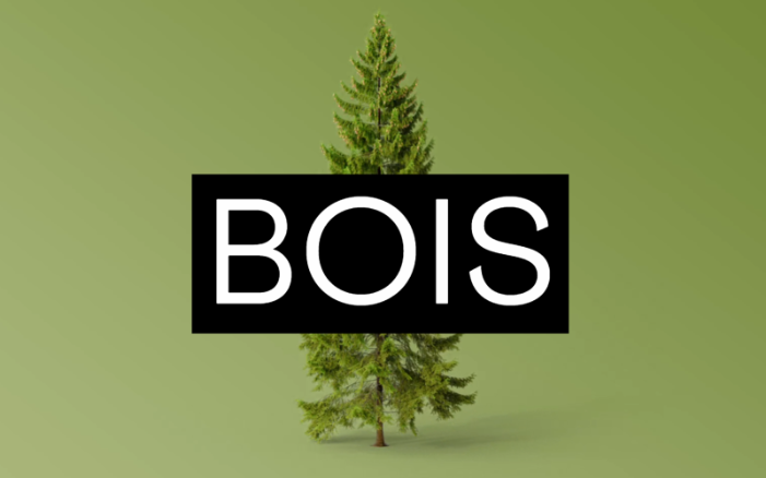 Annonce de la fascination du bois