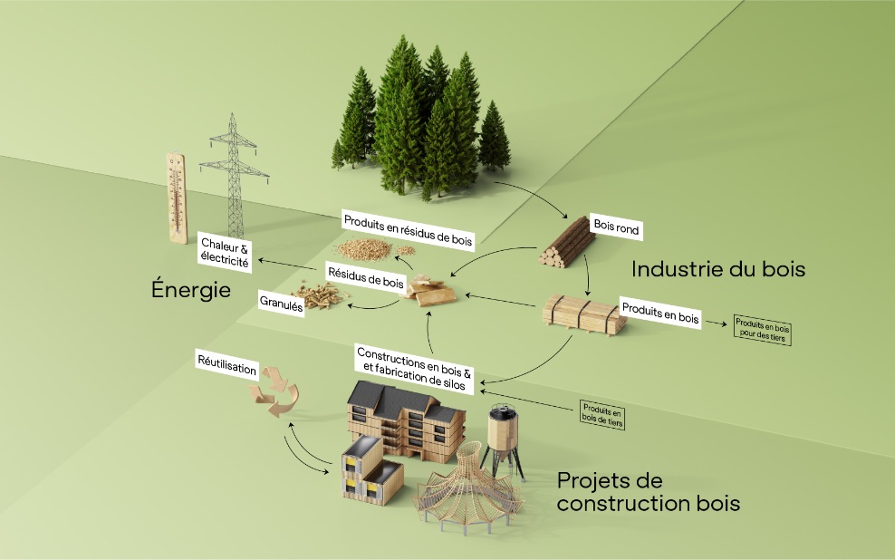 Sur le graphique avec différents pictogrammes, on voit les étapes de transformation des grumes, qui sont utilisées de manière totalement durable.