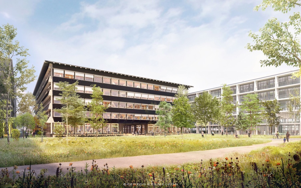 Hortus office building in timber construction with green surroundings 