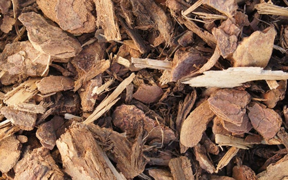 Close-up of litter for small animals