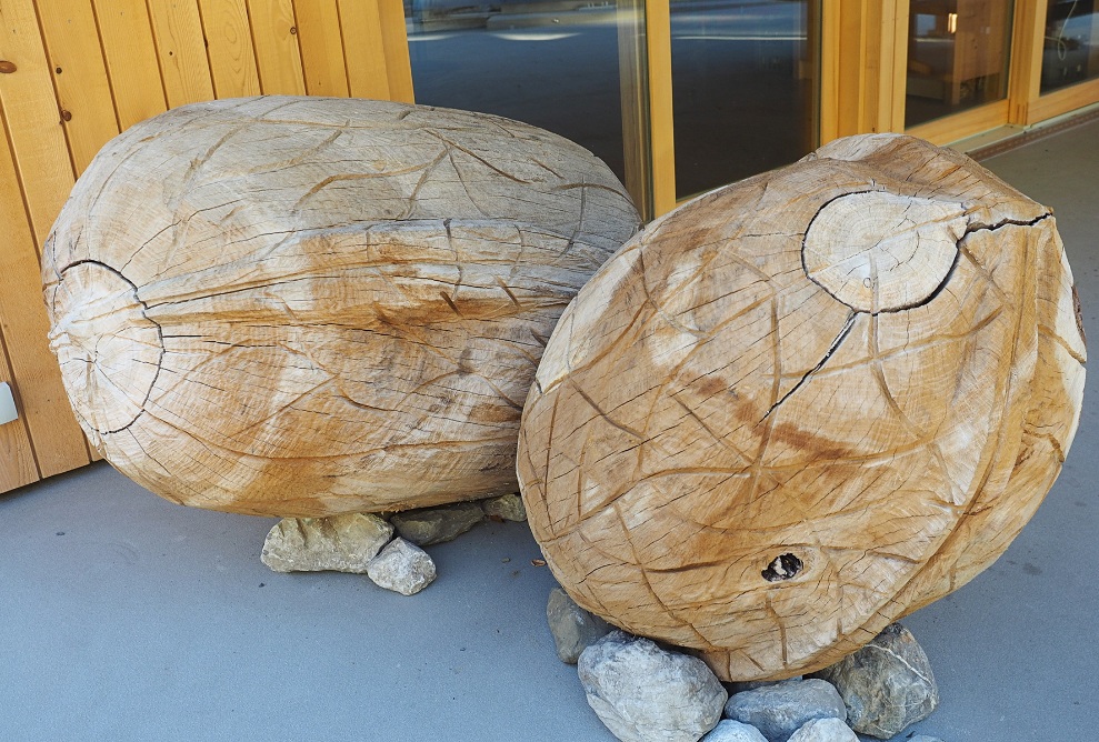 Zwei grosse Walnüsse aus Holz vor dem Wartehäuschen