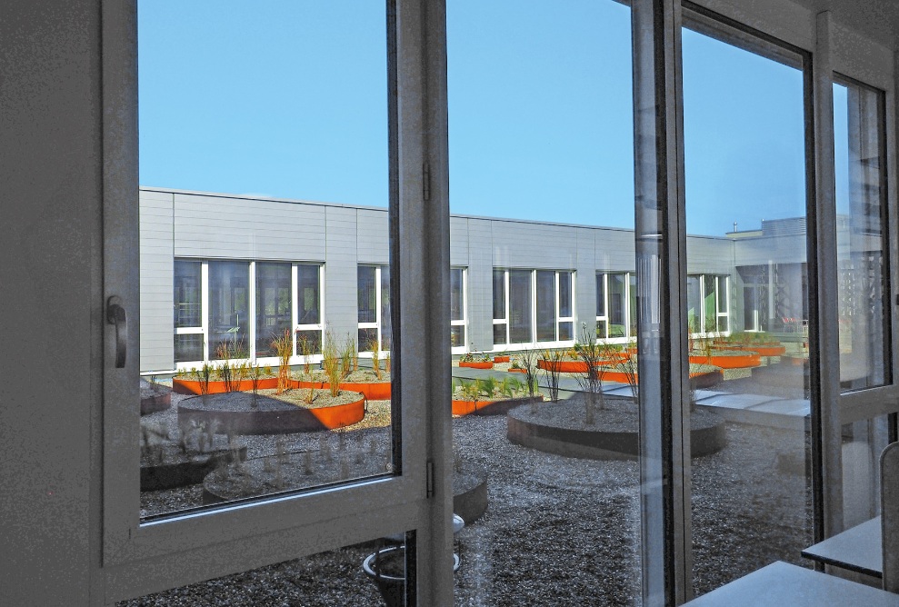 Blick durchs Fenster auf die Terrasse mit begrüntem Lichthof des Erweiterungsbaus Fust Industriegebäude 