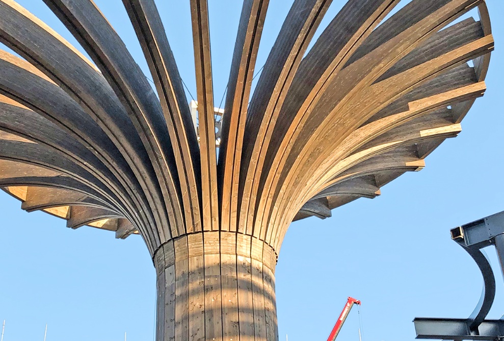 La tige de plante, élément central de l’atrium, se dresse vers le ciel.