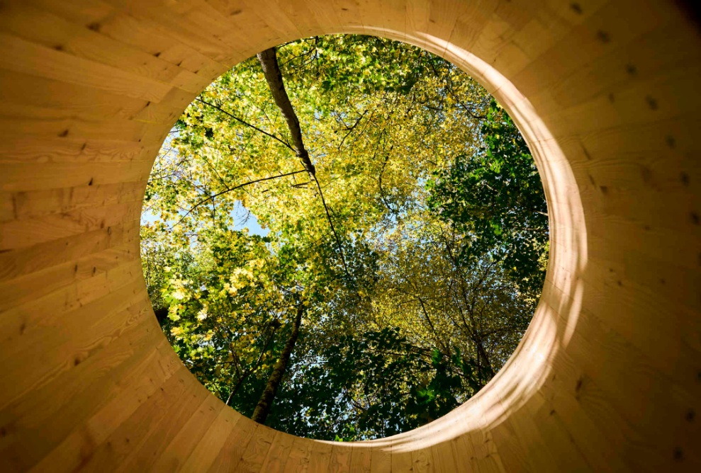 Aussicht aus dem Holzobjekt "Re-Framer" des Resilienzparcours in Zürich