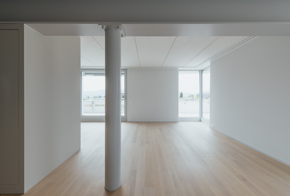 Vue intérieure du salon avec murs et plafonds blancs et plancher en bois 