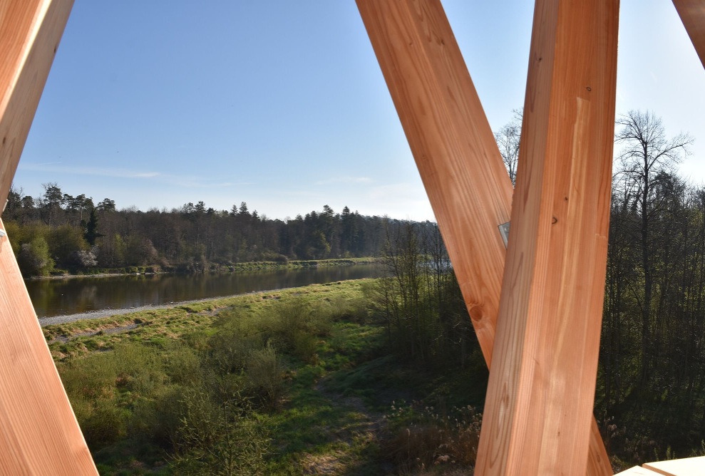 Blick durch die diagonalen Holzstreben des Thurauen-Beobachtungsturms auf Flusslandschaft und Wald im Morgenlicht