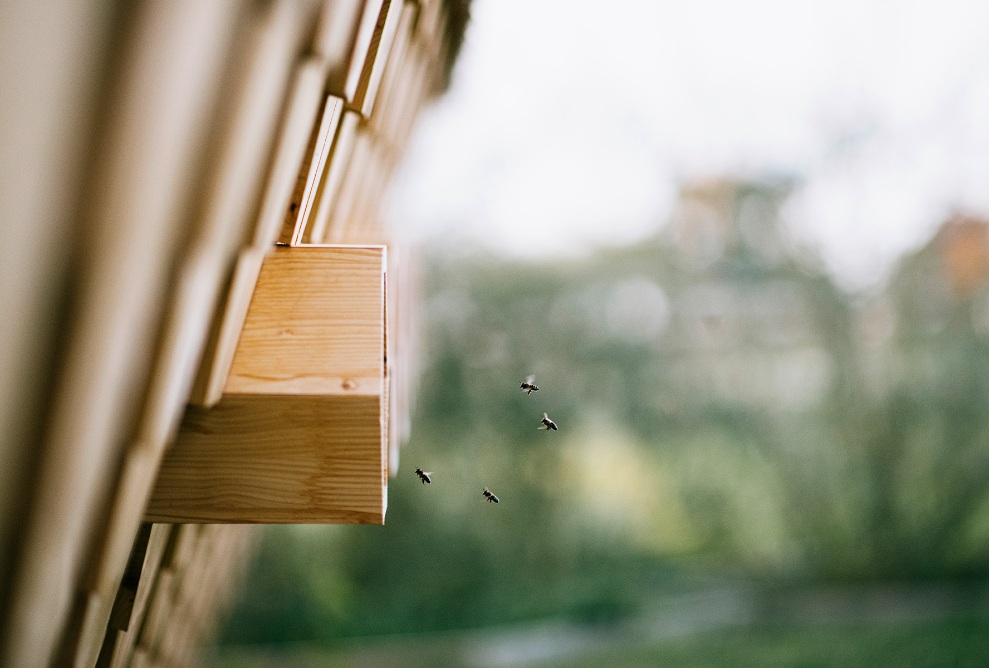 Die Holzfassade und Bienen-Eingänge des Bienenhauses im Detail